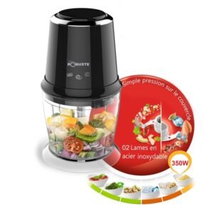 Hachoir 650ML 350W Robuste HN19